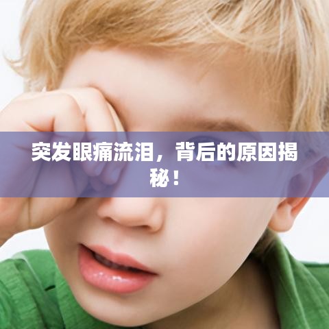 張弓拔弩