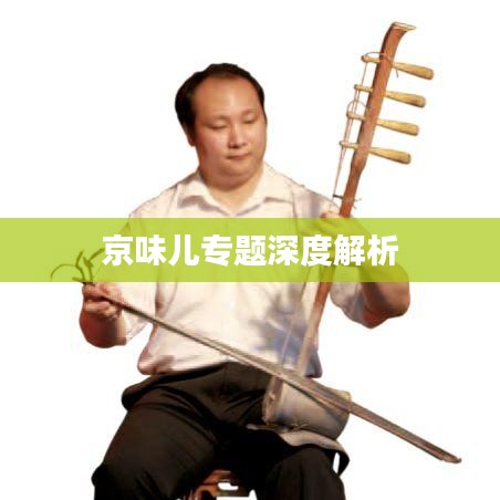 京味兒專題深度解析