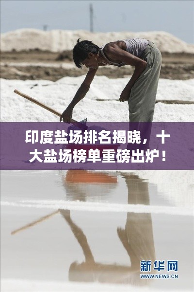 印度鹽場排名揭曉，十大鹽場榜單重磅出爐！