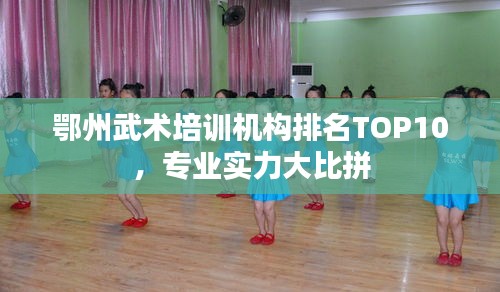 鄂州武術(shù)培訓(xùn)機構(gòu)排名TOP10，專業(yè)實力大比拼