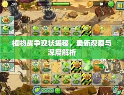 植物戰(zhàn)爭(zhēng)現(xiàn)狀揭秘，最新觀察與深度解析