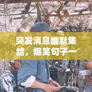 突發(fā)消息幽默集結(jié)，爆笑句子一網(wǎng)打盡