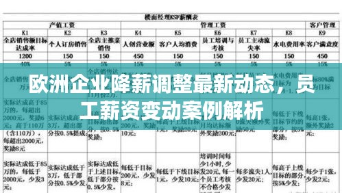 歐洲企業(yè)降薪調(diào)整最新動態(tài)，員工薪資變動案例解析