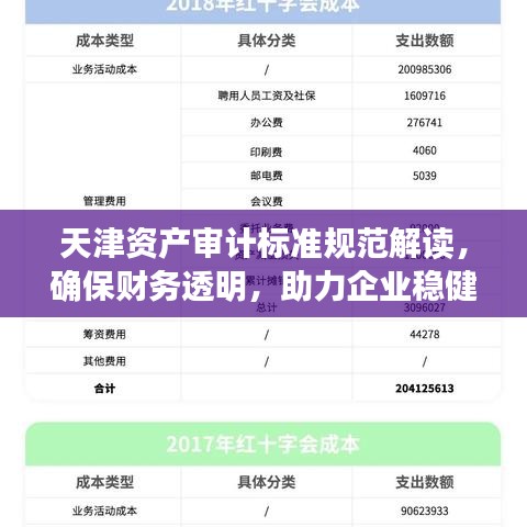 天津資產(chǎn)審計(jì)標(biāo)準(zhǔn)規(guī)范解讀，確保財(cái)務(wù)透明，助力企業(yè)穩(wěn)健發(fā)展