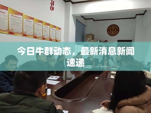 今日牛群動態(tài)，最新消息新聞速遞