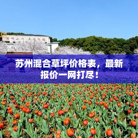 蘇州混合草坪價格表，最新報價一網打盡！
