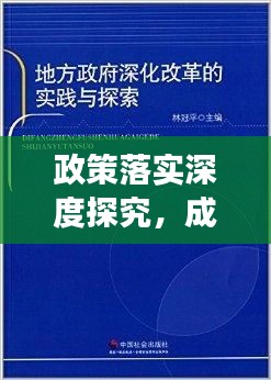 政策落實(shí)深度探究，成效與未來展望