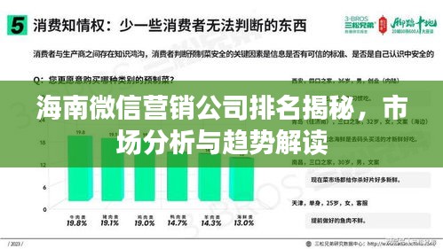 海南微信營銷公司排名揭秘，市場分析與趨勢解讀