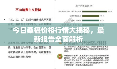 今日桑椹價(jià)格行情大揭秘，最新報(bào)告全面解析