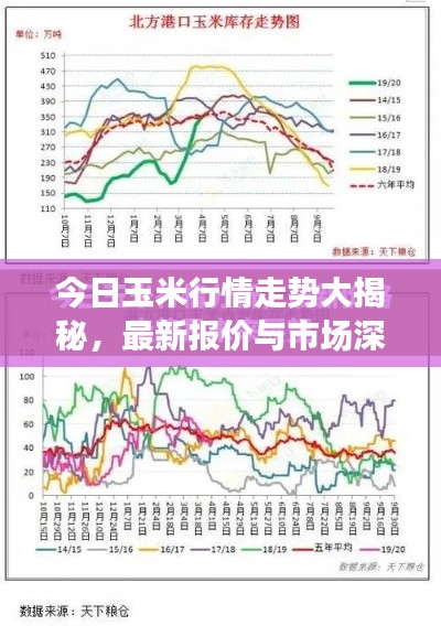 今日玉米行情走勢大揭秘，最新報(bào)價(jià)與市場深度解析
