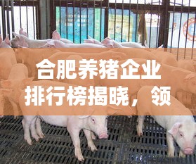 合肥養(yǎng)豬企業(yè)排行榜揭曉，領(lǐng)先企業(yè)一覽無(wú)余！