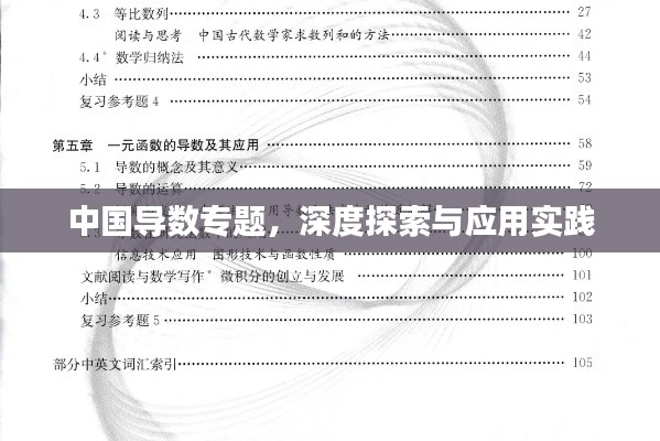 中國(guó)導(dǎo)數(shù)專(zhuān)題，深度探索與應(yīng)用實(shí)踐