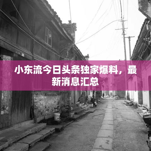 小東流今日頭條獨家爆料，最新消息匯總