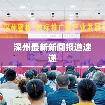 深州最新新聞報道速遞