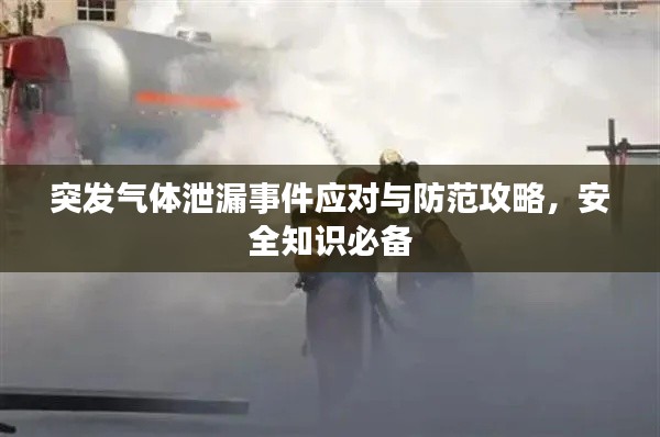 突發(fā)氣體泄漏事件應對與防范攻略，安全知識必備