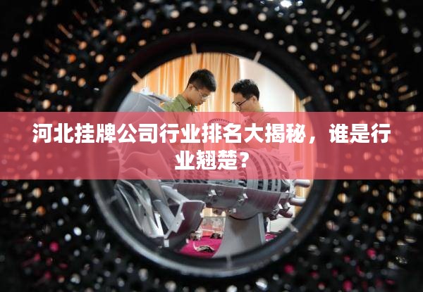 河北掛牌公司行業(yè)排名大揭秘，誰是行業(yè)翹楚？