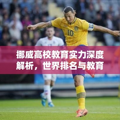 挪威高校教育實(shí)力深度解析，世界排名與教育特色探究