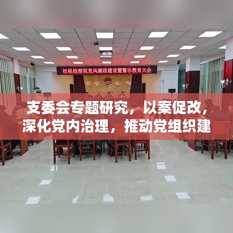 支委會(huì)專(zhuān)題研究，以案促改，深化黨內(nèi)治理，推動(dòng)黨組織建設(shè)再上新臺(tái)階