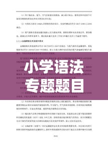 小學(xué)語法專題題目深度解析