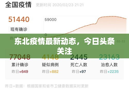 東北疫情最新動態(tài)，今日頭條關(guān)注