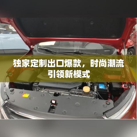 獨家定制出口爆款，時尚潮流引領新模式