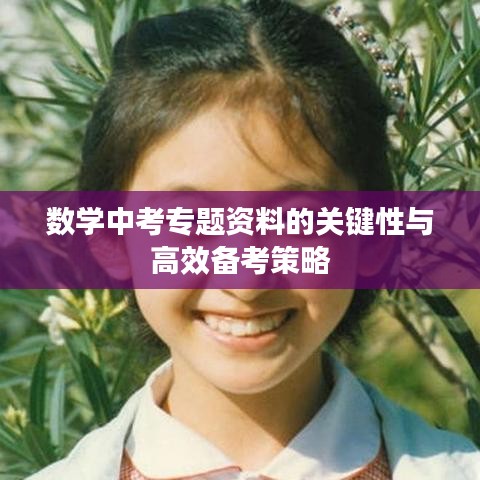 數(shù)學(xué)中考專題資料的關(guān)鍵性與高效備考策略