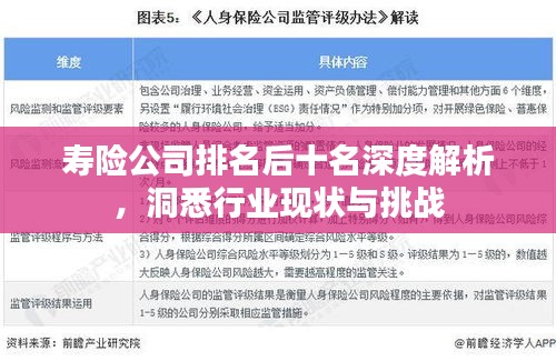 壽險公司排名后十名深度解析，洞悉行業(yè)現(xiàn)狀與挑戰(zhàn)