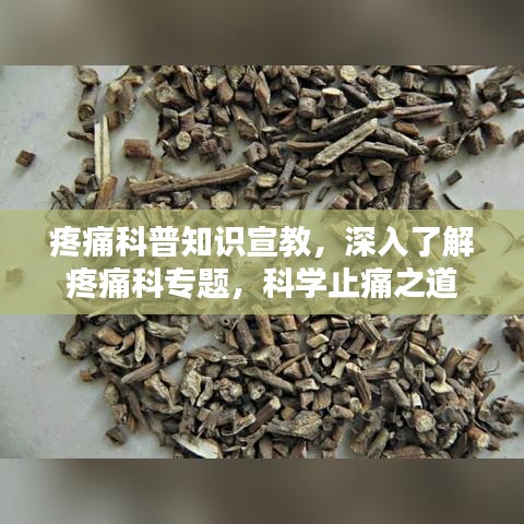 疼痛科普知識宣教，深入了解疼痛科專題，科學(xué)止痛之道