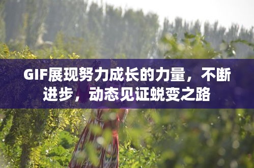GIF展現(xiàn)努力成長的力量，不斷進(jìn)步，動態(tài)見證蛻變之路