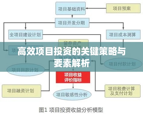 高效項目投資的關(guān)鍵策略與要素解析