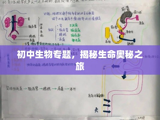 初中生物專題，揭秘生命奧秘之旅