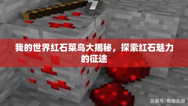 我的世界紅石菜鳥大揭秘，探索紅石魅力的征途