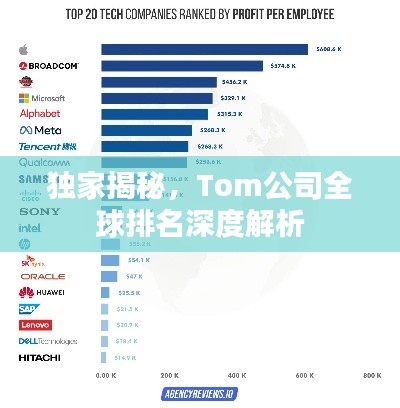 獨(dú)家揭秘，Tom公司全球排名深度解析