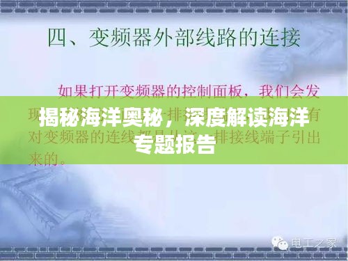 揭秘海洋奧秘，深度解讀海洋專題報告
