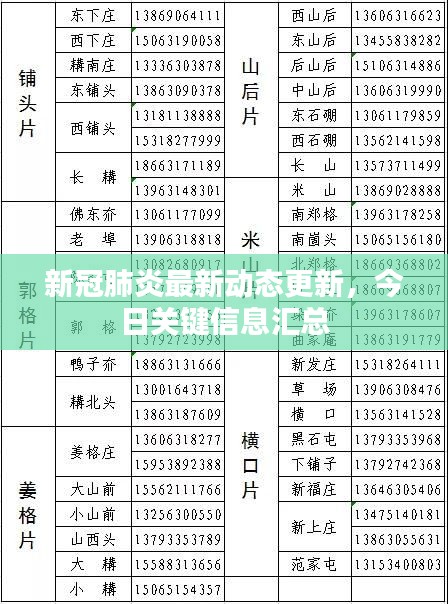 新冠肺炎最新動態(tài)更新，今日關鍵信息匯總