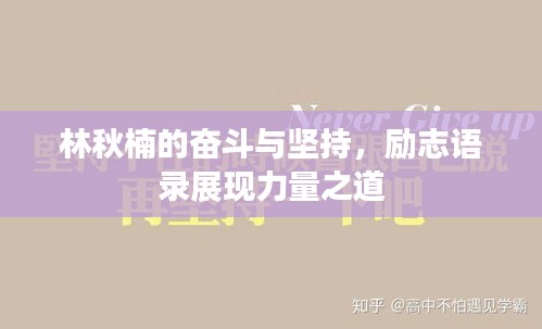 林秋楠的奮斗與堅持，勵志語錄展現(xiàn)力量之道