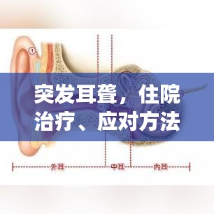 突發(fā)耳聾，住院治療、應對方法與康復指南