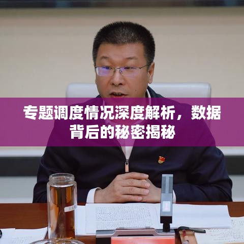 專題調(diào)度情況深度解析，數(shù)據(jù)背后的秘密揭秘