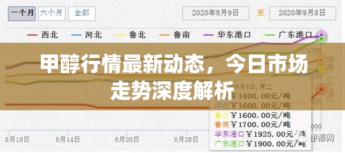 甲醇行情最新動(dòng)態(tài)，今日市場(chǎng)走勢(shì)深度解析
