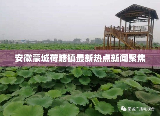 安徽蒙城荷塘鎮(zhèn)最新熱點新聞聚焦