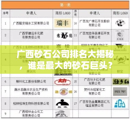 廣西砂石公司排名大揭秘，誰是最大的砂石巨頭？