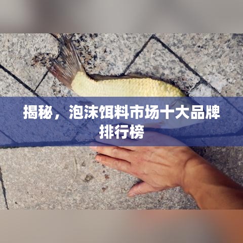 揭秘，泡沫餌料市場(chǎng)十大品牌排行榜