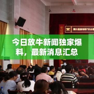 今日放牛新聞獨(dú)家爆料，最新消息匯總