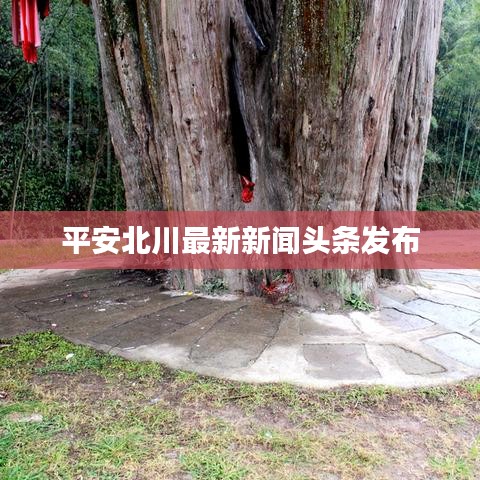 平安北川最新新聞?lì)^條發(fā)布