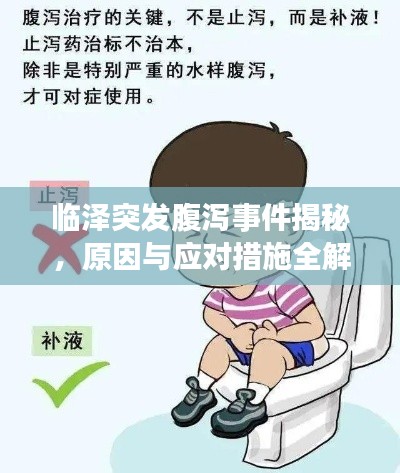 臨澤突發(fā)腹瀉事件揭秘，原因與應(yīng)對措施全解析