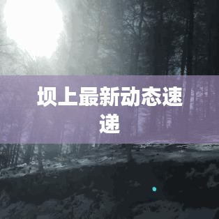 破衲疏羹