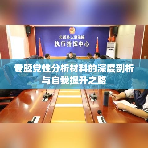 專題黨性分析材料的深度剖析與自我提升之路