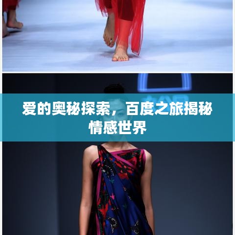 愛的奧秘探索，百度之旅揭秘情感世界