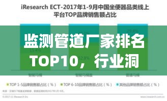 監(jiān)測管道廠家排名TOP10，行業(yè)洞察深度解析報(bào)告