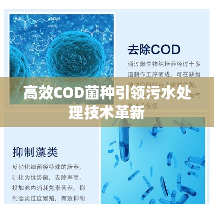 高效COD菌種引領(lǐng)污水處理技術(shù)革新